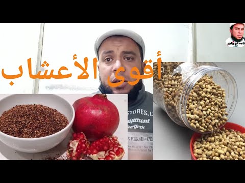 أعشاب موجوده عندك في البيت مفيده جدا للطيور سبحان الله