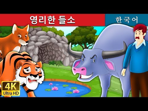 영리한 들소 | Intelligent Buffalo in Korean | 동화 | 잘 때 듣는 동화 | 만화 애니메이션 | Korean Fairy Tales