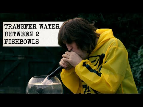 Transfer Water Between 2 Fishbowls Without Touching Them | Full Task | Taskmaster