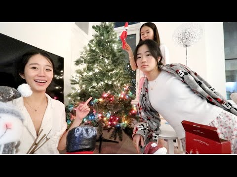 THE ULTIMATE CHRISTMAS VLOG  *chaotic*