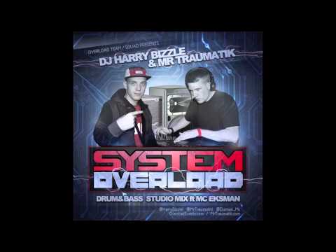 SYSTEM OVERLOAD - DJ HARRY BIZZLE & MR TRAUMATIK ft MC EKSMAN