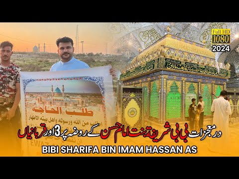 Mojzat Ka Dar - Bibi Shareefa Bint Imam Hassan as K Roze Ki Ziyarat Or Qurbani - Hillah Iraq