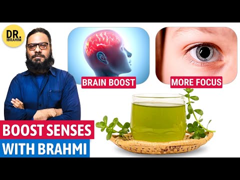 Apna Demag "BRAHMI BUTI" Se Tez Karen! Bacopa Monnieri Benefits on Brain | Dr. Ibrahim