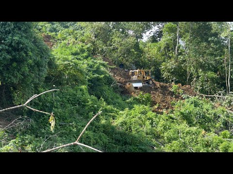 Advantages of the D6R XL Bulldozer in the Formation of Palm Terraces in Steep Terrain