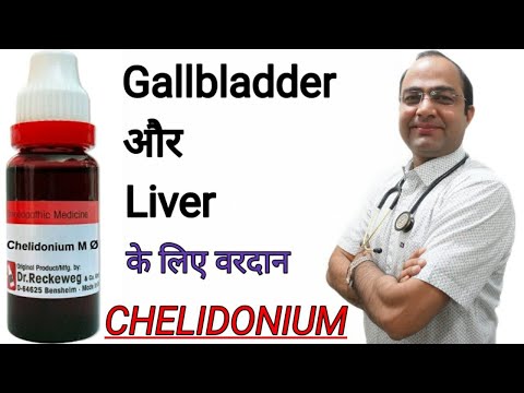 Chelidonium |Fatty Liver | gall bladder stone | Jaundice |