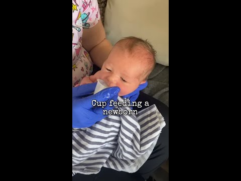 Cup feeding a newborn