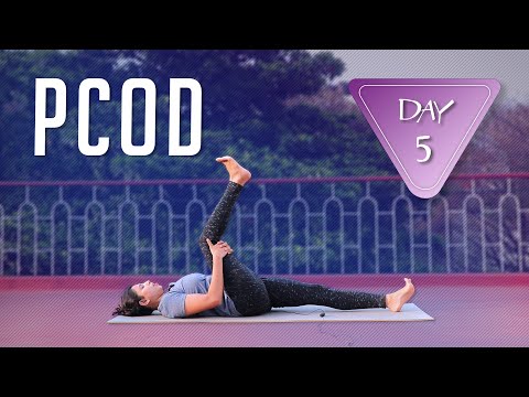 Day 5 of 5 days Yoga For PCOD | Yoga For Beginners