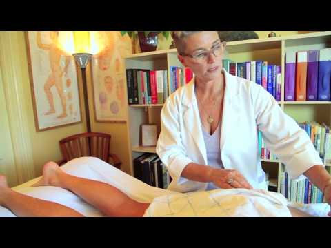 Dawn Lucia Acupuncture, Herbal Medicine, Natural Health, & Herbology