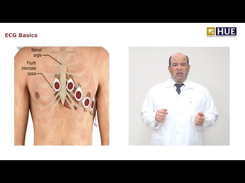 ECG Basics - Dr Lashin Saad - HUE