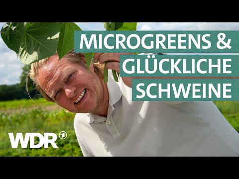 Frisch, regional, handgemacht: Entdeckungstour rund um Leverkusen | Lecker an Bord | WDR