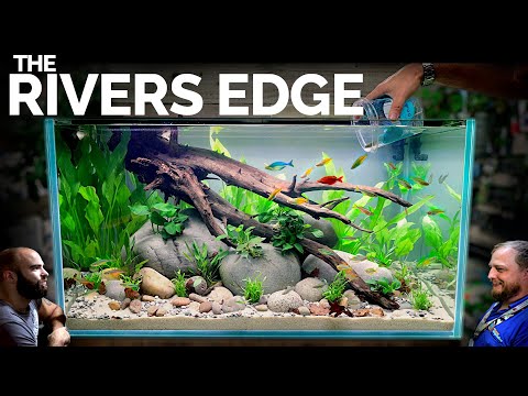 Rainbow Rivers Edge: EPIC 3ft Aquarium Natural Style (Aquascape Tutorial)