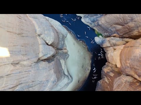 Faces of Africa  - The Sahara.