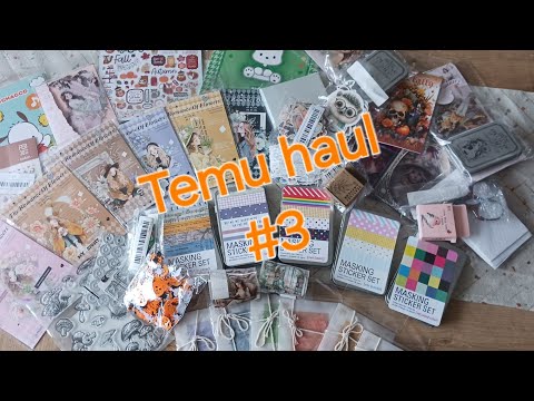 Temu Haul #3.