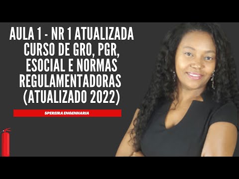 Aula 1 - NR 1 - Atualizada Curso de GRO, PGR, E-social e Normas Regulamentadoras - Soraia Pereira