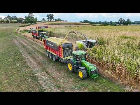 Mais Silage 2022 | Claas Jaguar 990 | 7x John Deere | Egide London