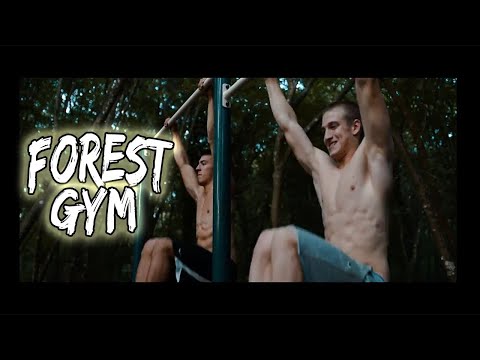 FOREST GYM | Calisthenics | Alex Sverko & Moran Cerkez | Cinematic Workout Video @TimothyOmcikus