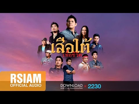 รวมเพลงเพราะ เสือใต้เพื่อชีวิต | บ่าววี | หลวงไก่ | เดช อิสระ [Official Music Long Play]