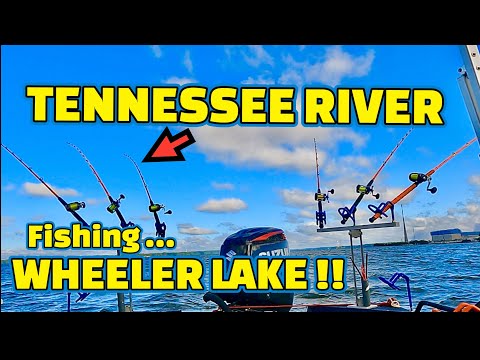 Fishing CUT BAIT at WHEELER LAKE on TENNESSEE RIVER !!