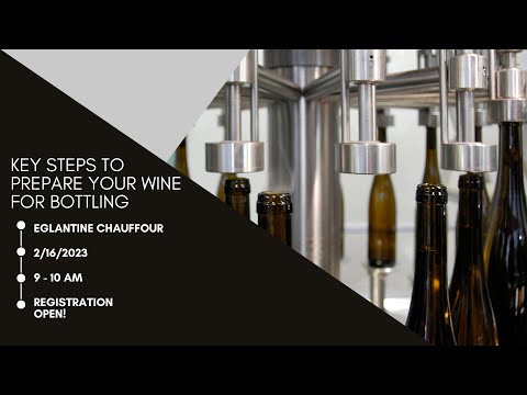 Key Steps to Prepare Your Wine for Bottling