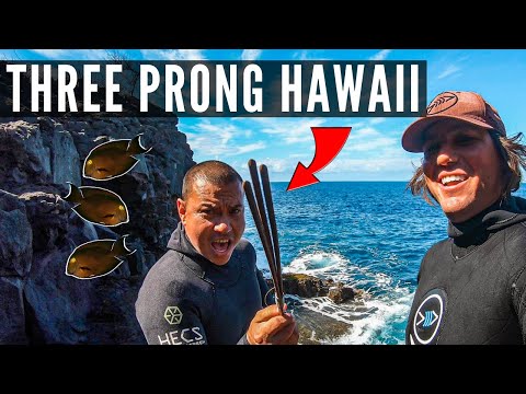 Spearfishing Hawaii Three Prong Hunting with Justin Lee