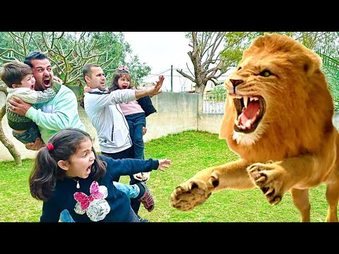 لما يطلع لابنك اسد بنص الطريق وهوا بلعب الغميضة 🦁