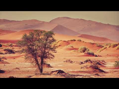 Dreamy Desert Guitar II Hermanos Gutierrez Playlist