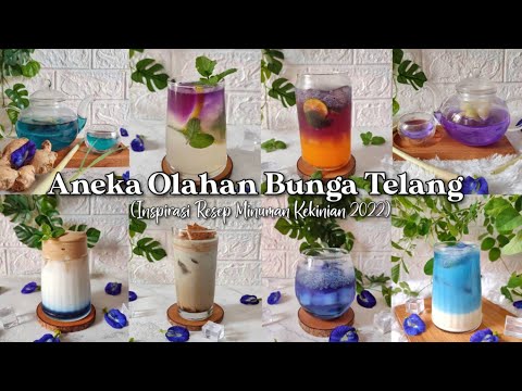 Bikin Minuman Ala Cafe | Resep Minuman Kekinian - Membuat Minuman Bunga Telang