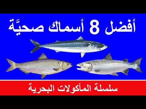 أفضل انواع الأسماك لصحة الجسم