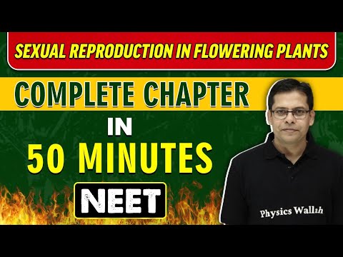 Sexual Reproduction in Flowering Plants in 50 Minutes || Complete Chapter for NEET