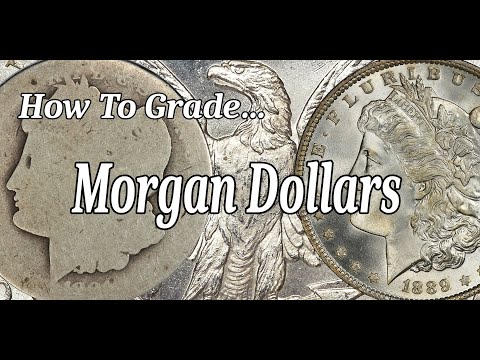 How To Grade Morgan Silver Dollars - My Personal Grading Technique