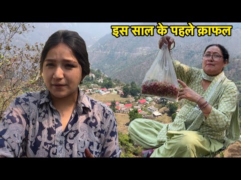 क़ाफल के लिए गए नानी के गाँव || नानी का घर बन गया अब होमस्टे || Uttarakhand Wali