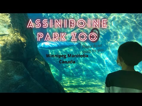 Exploring ASSINIBOINE PARK ZOO. Winnipeg Manitoba Canada