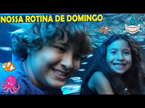 NOSSA ROTINA DE DOMINGO ★ Diversão no aquário gigante ★