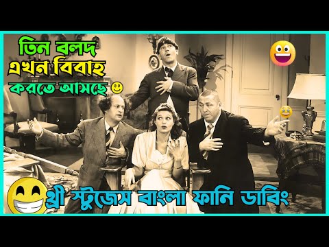 তিন বলদ যখন বিবাহ করতে আসছে | Three stooges Bangla funny Dubbing। Bachal Brothers.