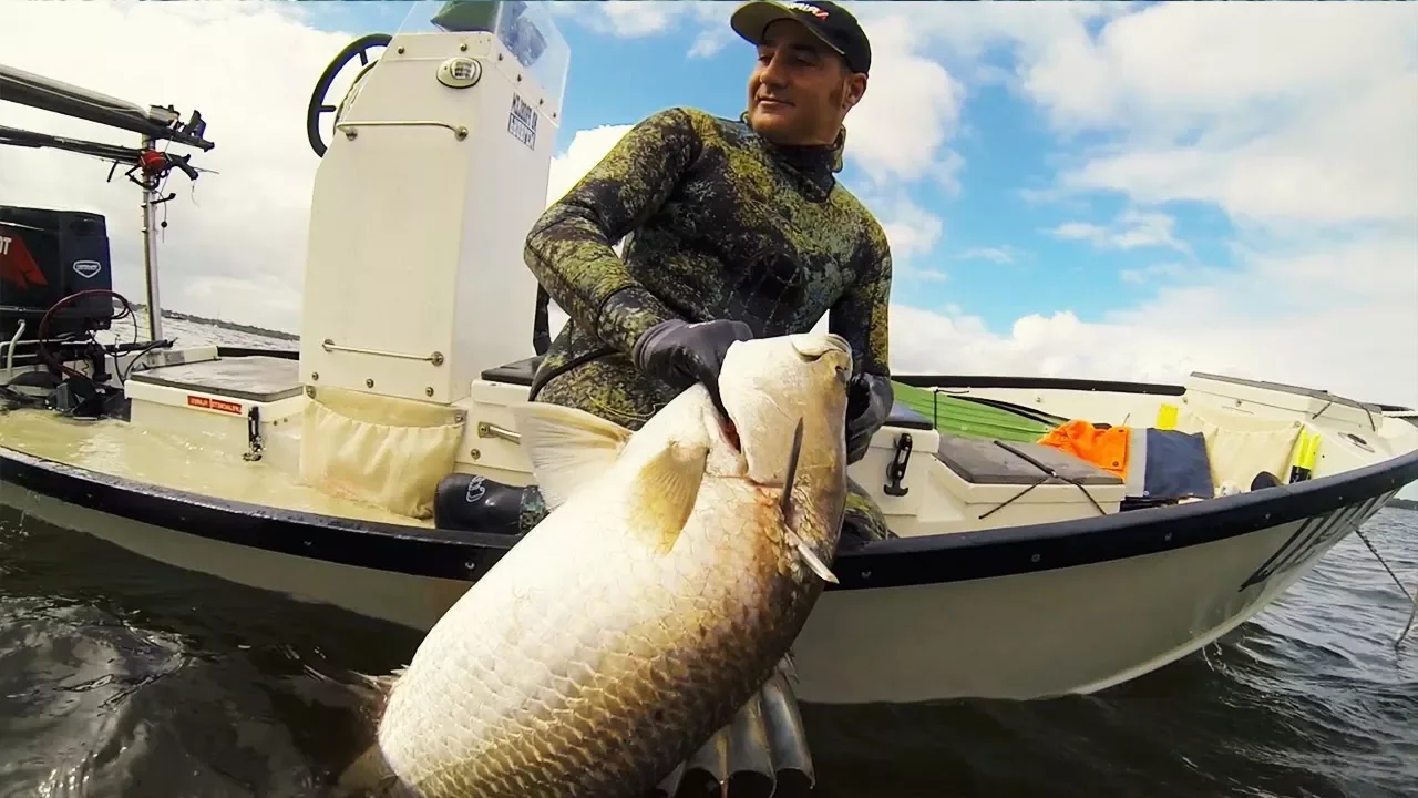 Spearfishing for Barramundi in Queensland