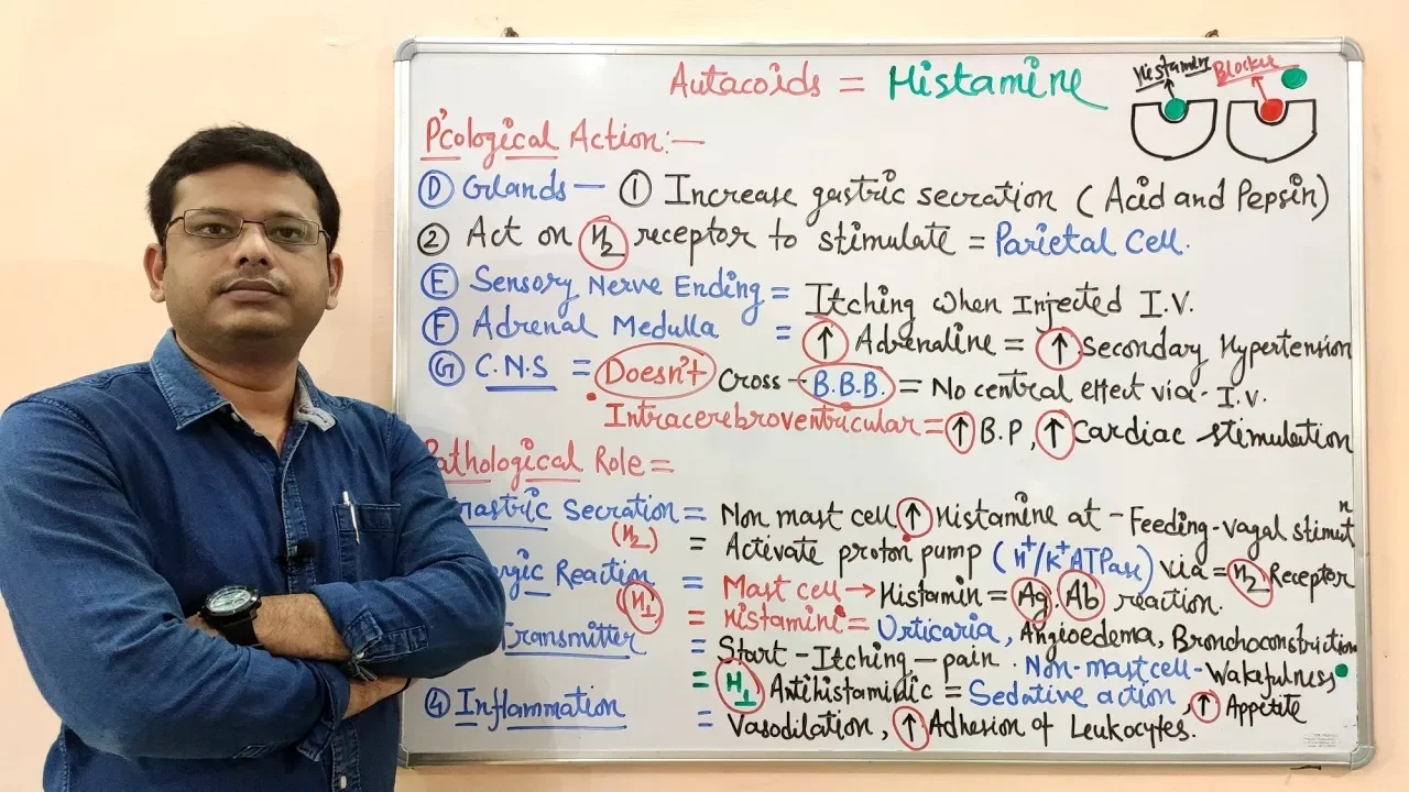 Histamine (Part 02) = Pharmacological and Physiological Action of Histamine | Histamine | Autacoids